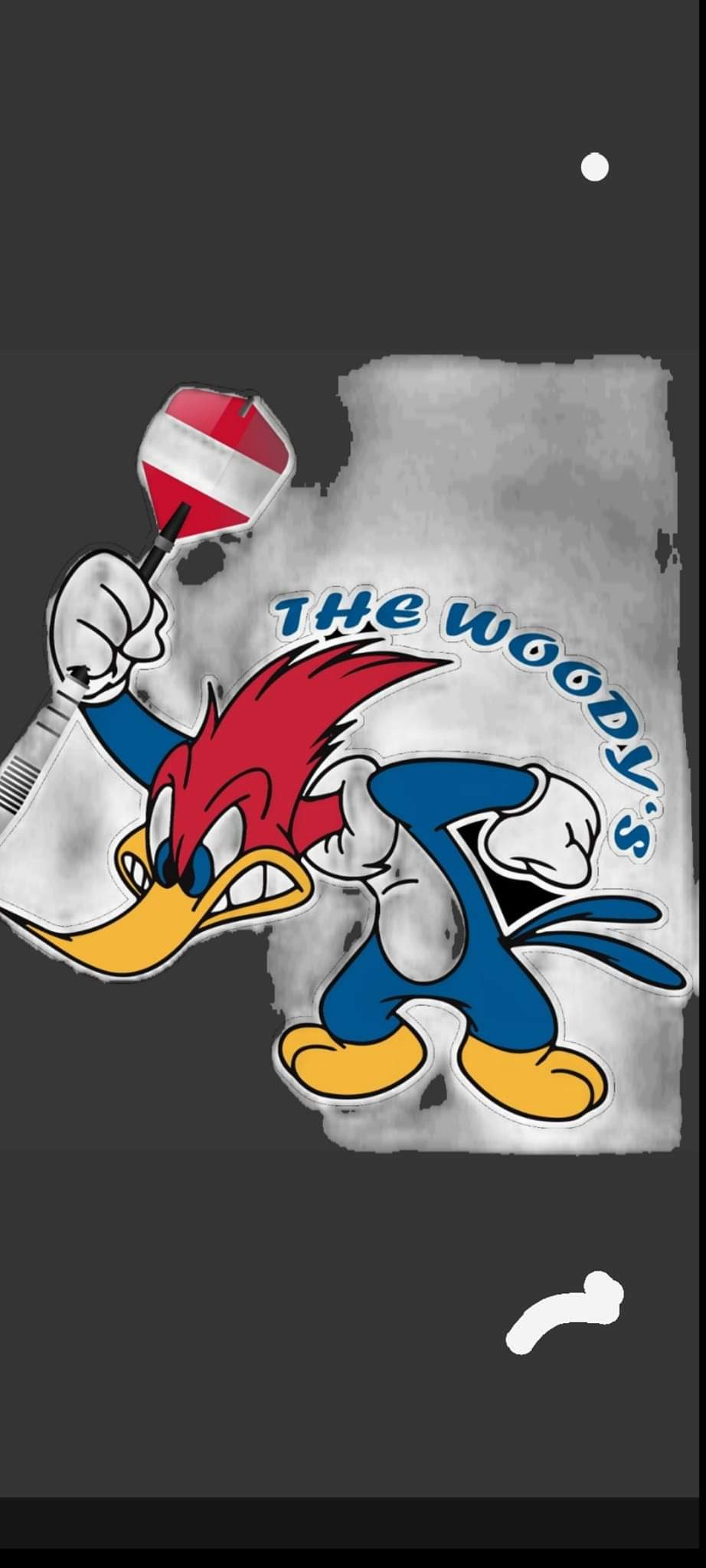 Profilbild von The Woody's DV